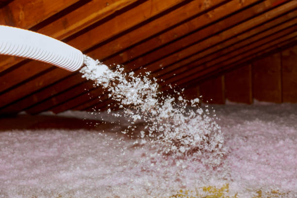 Best Fiberglass Insulation in Bayou La Batre, AL